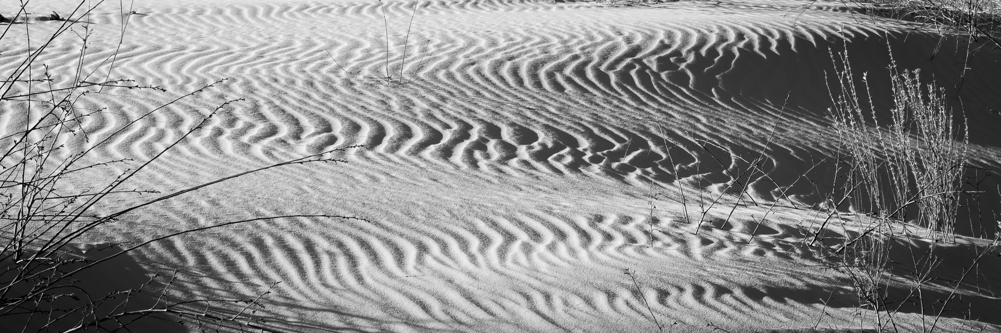B_W-1