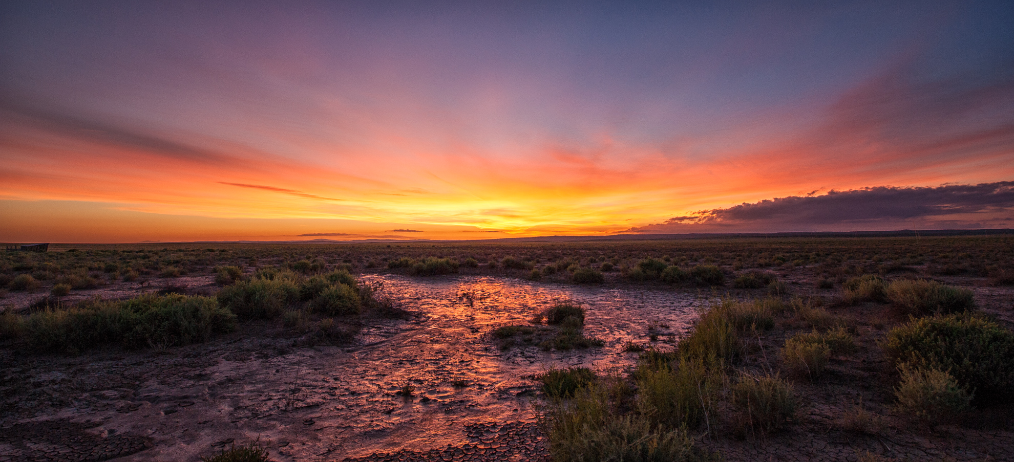 Landscape-16