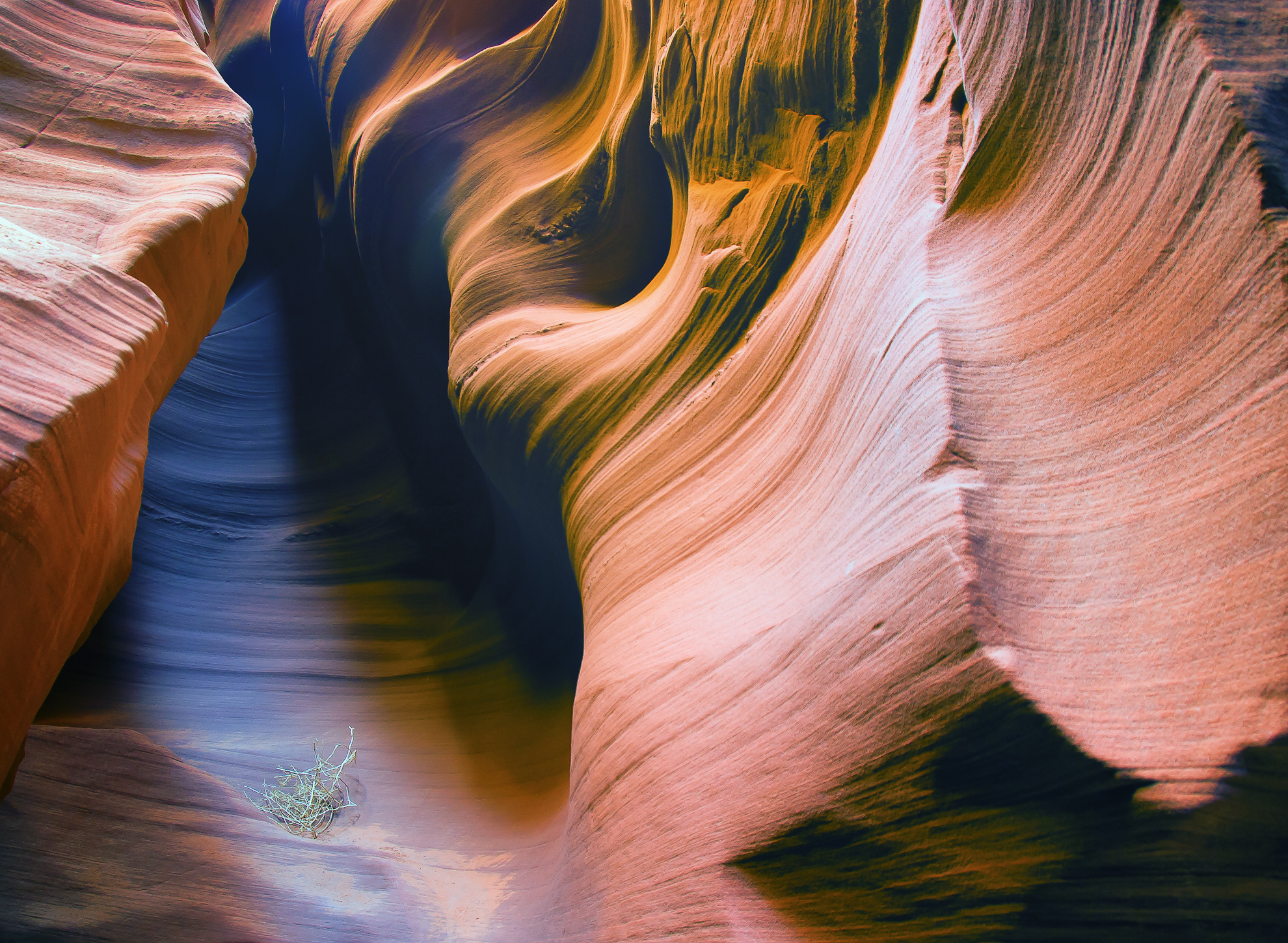 Nature-4